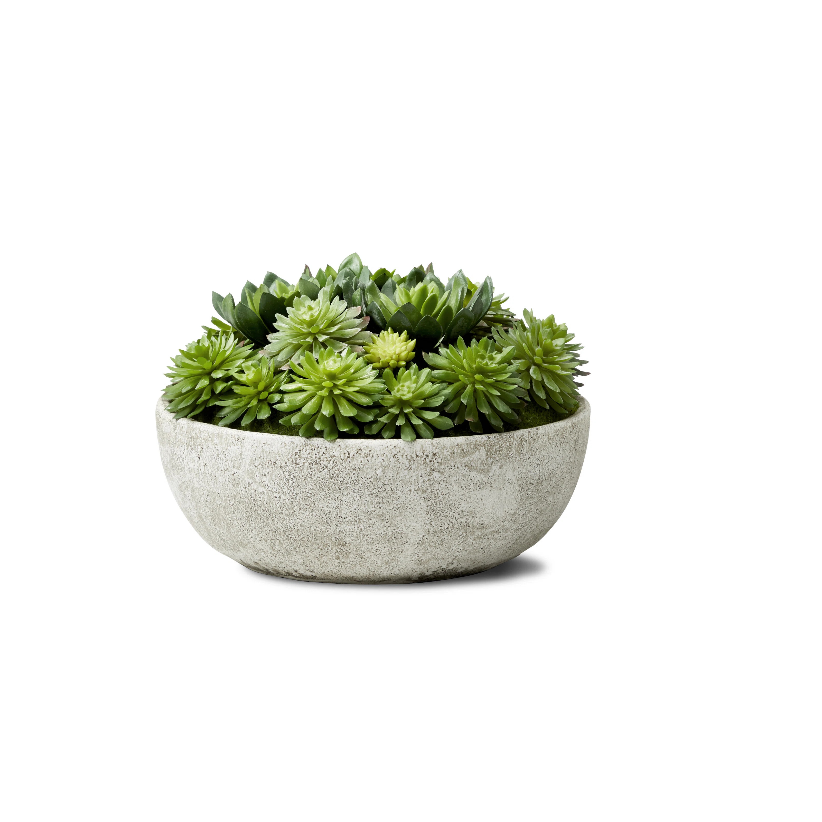 7'' Faux Succulent Plant in Stone Pot | Wayfair North America
