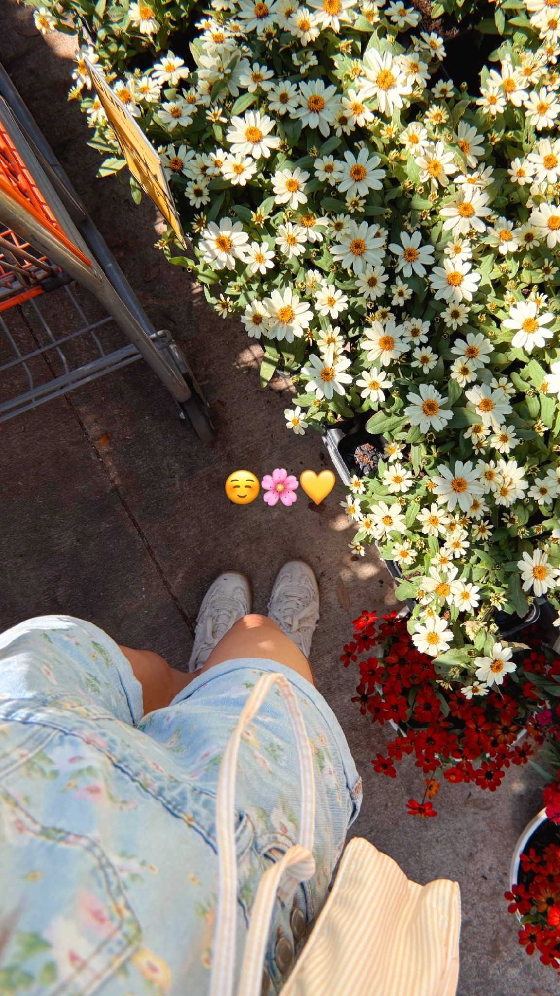 ☺️🌸💛
Spring outfit I’m wearing on repeat!

Floral overalls: xxl, from the girls section!
Lace sneakers: 8.5, fit tts
must have scallop socks 
& th perfect butter yellow bag 


#LTKSeasonal #LTKdayinmylife #LTKootd