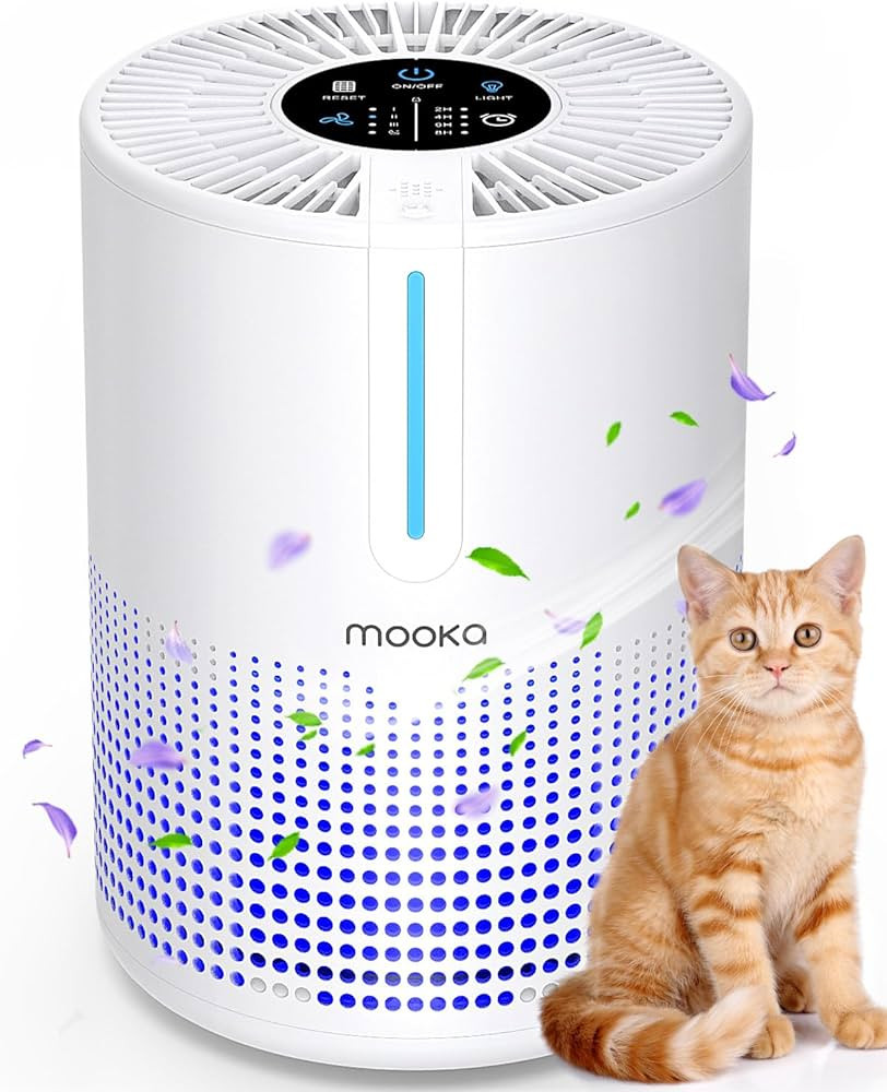 Air Purifiers for Bedroom Home, MOOKA H13 HEPA Filter Small Portable Air Purifier with USB Cable ... | Amazon (US)