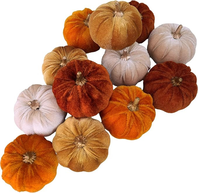 Winlyn Set of 12 Small Faux Fall Harvest Velvet Pumpkins Decorative Fabric Foam Pumpkins in Rust ... | Amazon (US)