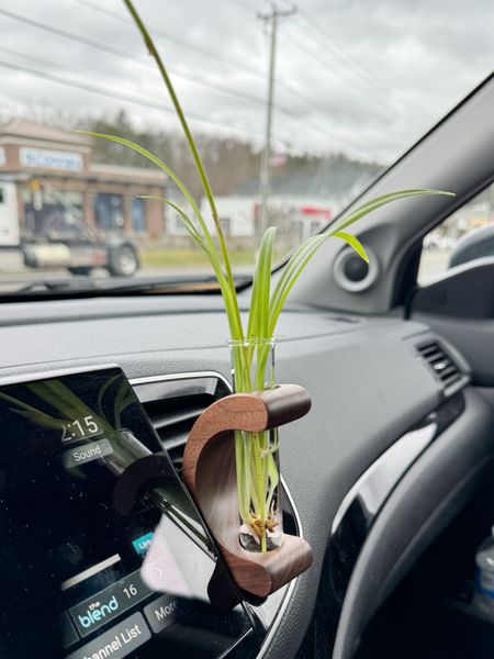 Found a cute car plant holder! 🌱 

#LTKhome