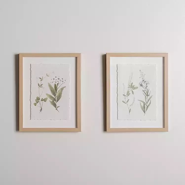 New! Delicate Botanical Framed Art Prints, Set of 2 | Kirkland's Home