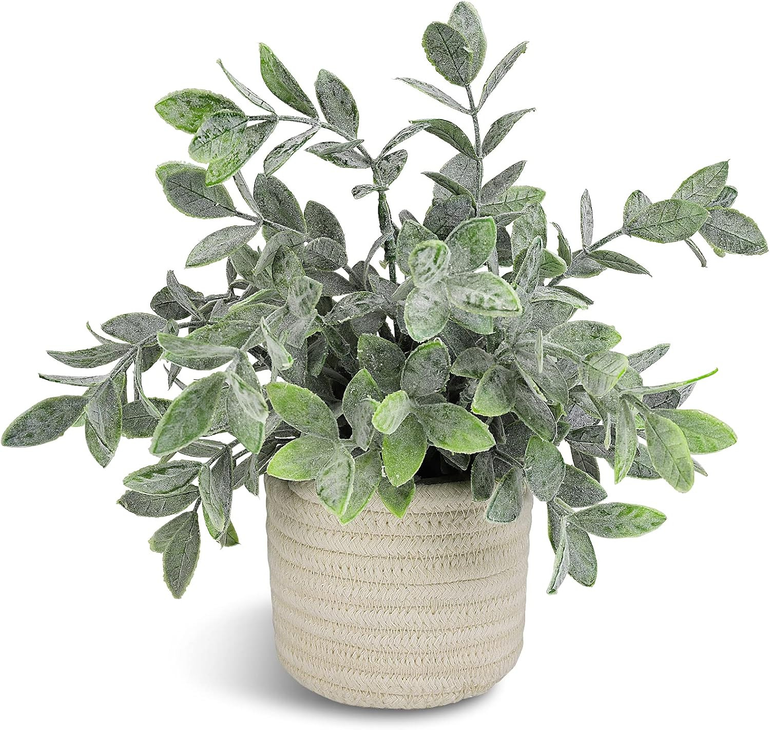 Hopewood Faux Plants, Small Fake Plant for Bathroom, Decorative Artificial Plants for Farmhouse Desk Shelf Decor with A Weave Basket (9.8inch) | Amazon (US)
