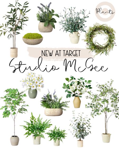 ✨𝙉𝙀𝙒✨ Studio McGee at Target, faux plants, faux trees, greenery, new home decor, Target home decor

Target home, Amazon home, spring decor, Target Decor, 2023, New decor, Hearth & Hand, Studio McGee, plants, mirrors, art, new spring decor, spring inspiration, spring front porch, home inspiration, porch decor, Home decor, Spring, New decor ideas #LTKunder50 #LTKunder100 #LTKsalealert #LTKstyletip  #LTKU #LTKhome 

#LTKhome #LTKstyletip #LTKFind