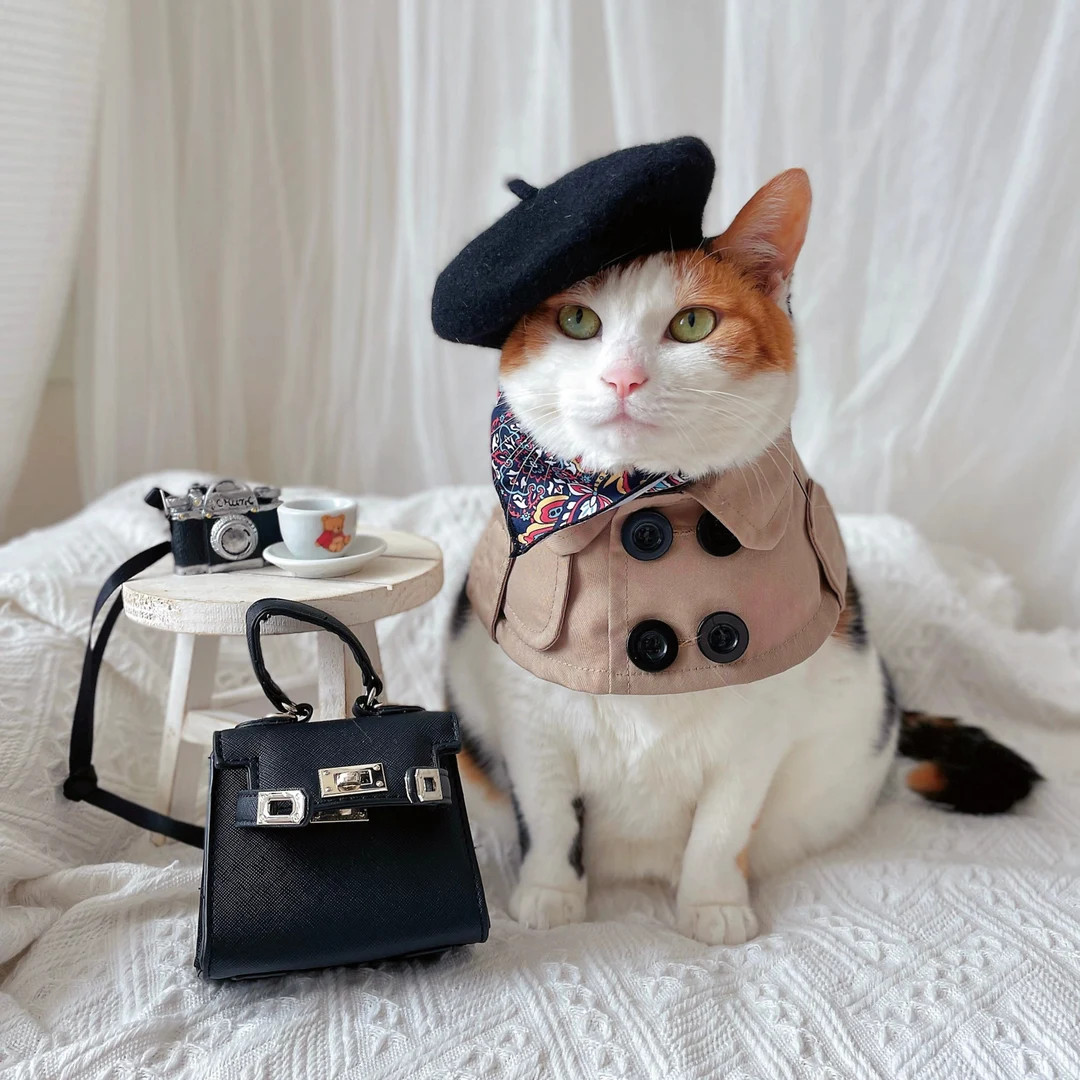 Pet Trench Coat Costume: Cat/dog Cape, Beret & Necklace - Etsy | Etsy (US)