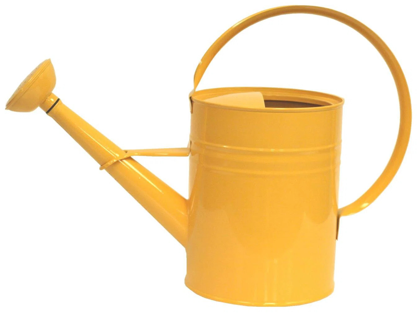 Enameled Galvanized Steel Watering Can 1 Gal. | Wayfair North America