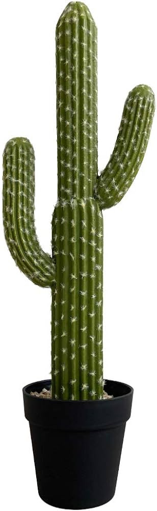 momoplant Artificial Cactus Succulent Plant, 24 Inch Tall Faux Fake Desert Cacti Plant with Black... | Amazon (US)