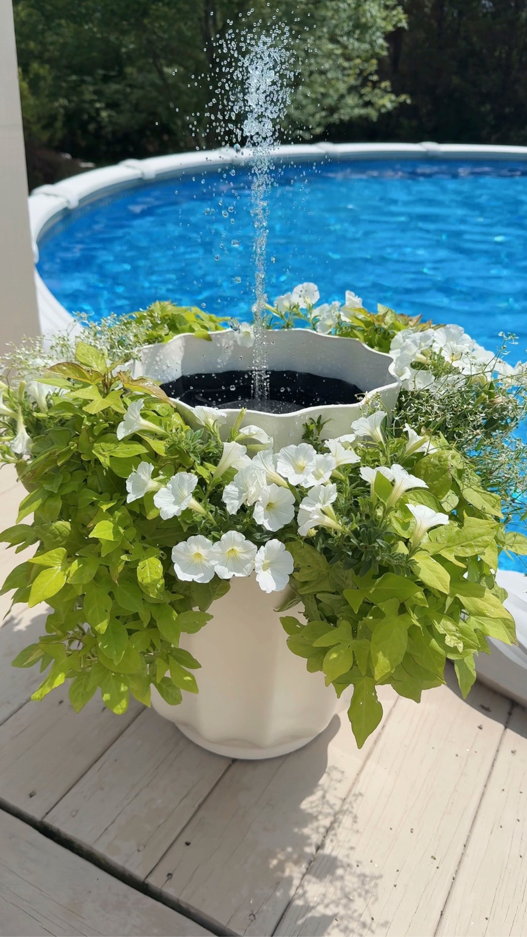 I keep finding new ways to use these inexpensive solar fountains! And this double tiered planter + fountain combo is my favorite yet. ⛲️ Plants featured: white supertunias, green sweet potato vine, diamond frost.

#LTKHome #LTKSeasonal