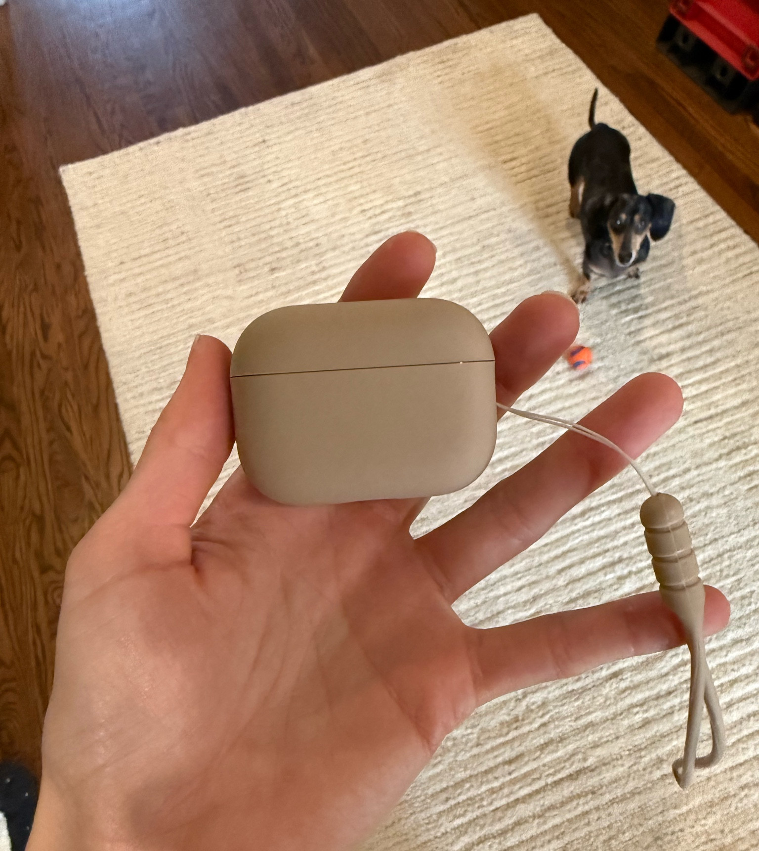 Neutral AirPods Pro 2 case 

#LTKFitness #LTKActive #LTKTravel