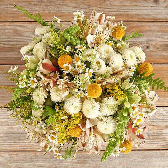 Button Chrysanthemums with Feverfew, Sword Fern, and Snaps. - The Bouqs Co. | The Bouqs Co.