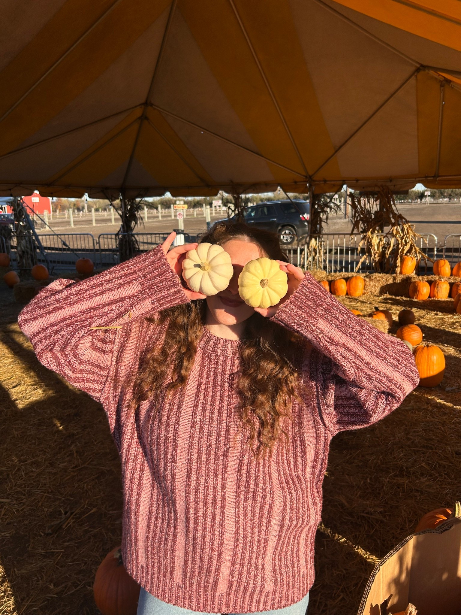 Pumpkin patch!

#LTKSeasonal #LTKStyleTip #LTKHoliday
