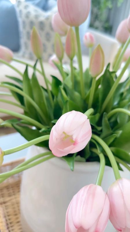 Simple spring coffee table 

#LTKfindsunder50 #LTKover40 #LTKhome