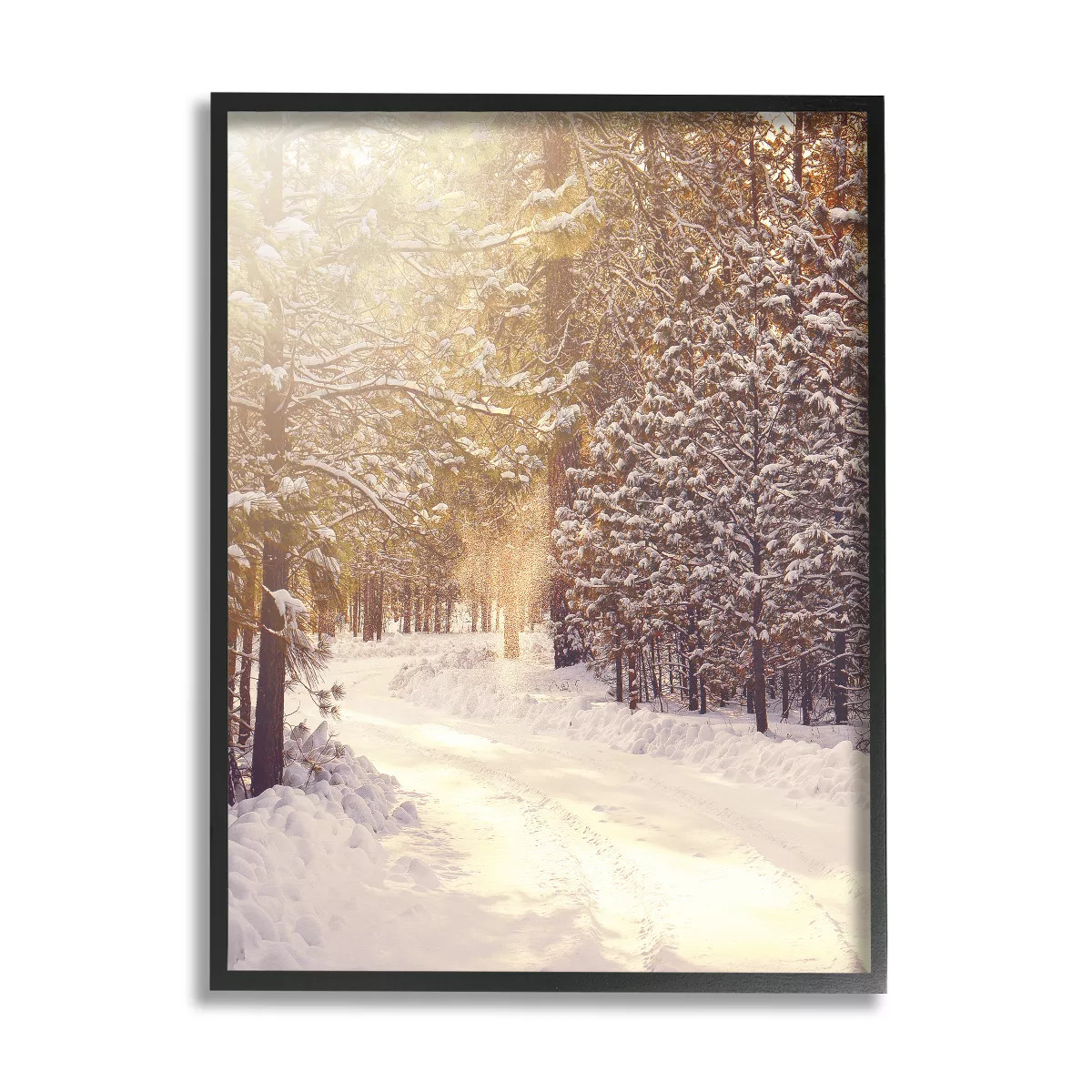 Stupell Industries Snowy Winter Path Framed Giclee Art | Target