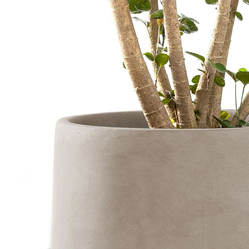 Kante 2 Piece 17.3", 13.4" and 10.6"H Round Concrete Planters, Outdoor Indoor Large Planter Pots ... | Wayfair North America