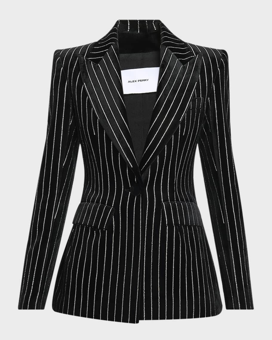 Crystal Pinstripe Velvet Single-Breasted Fitted Blazer | Neiman Marcus