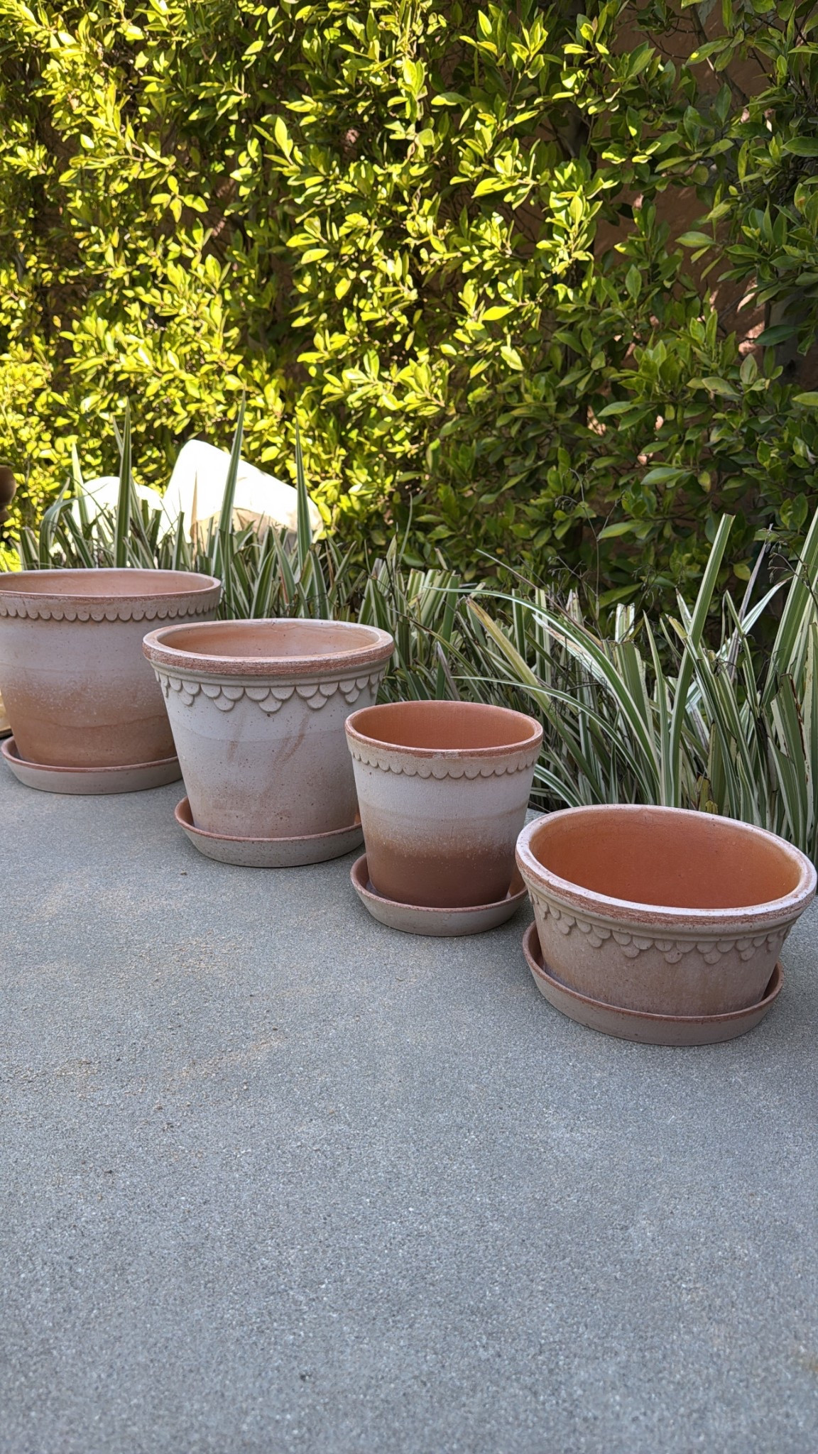 Affordable but adorable scalloped terracotta pots
