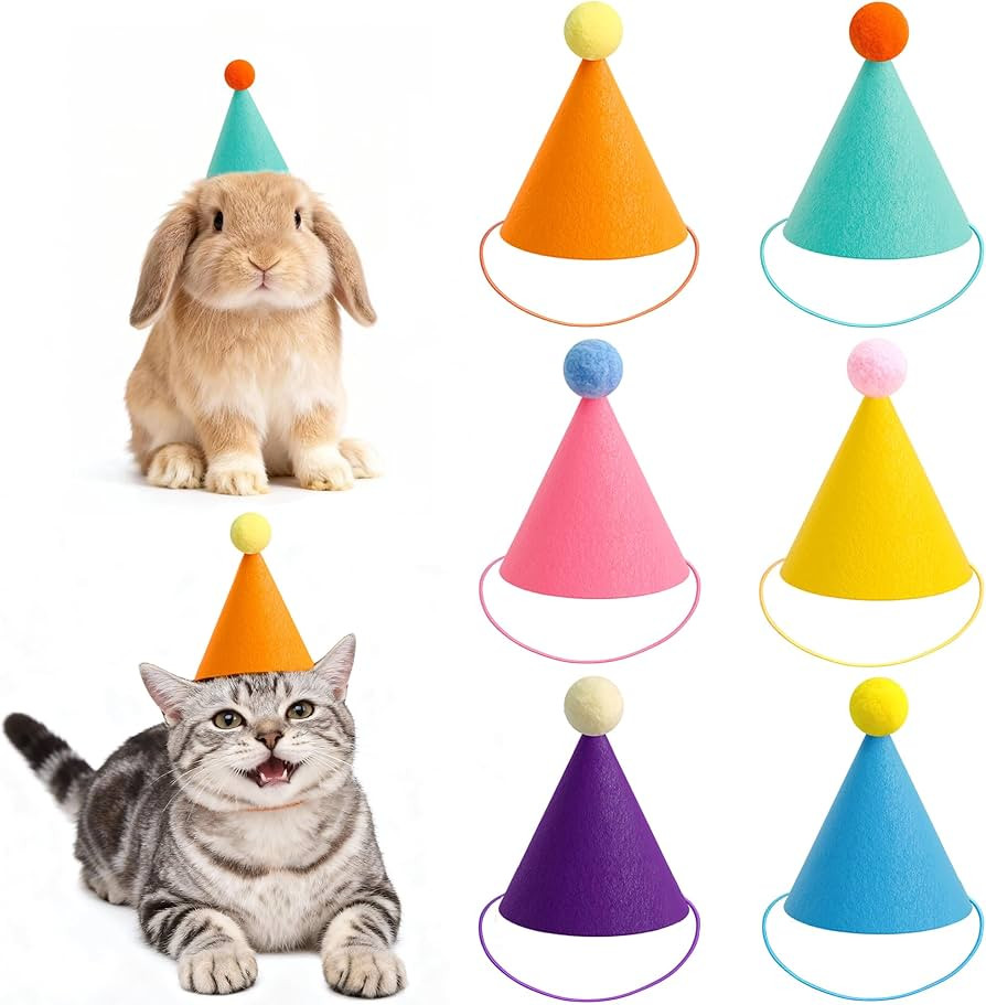 Mini Party Hats for Stuffed Animals, Small Colorful Birthday Hats with Cute Fruit Knitted Appliqu... | Amazon (US)