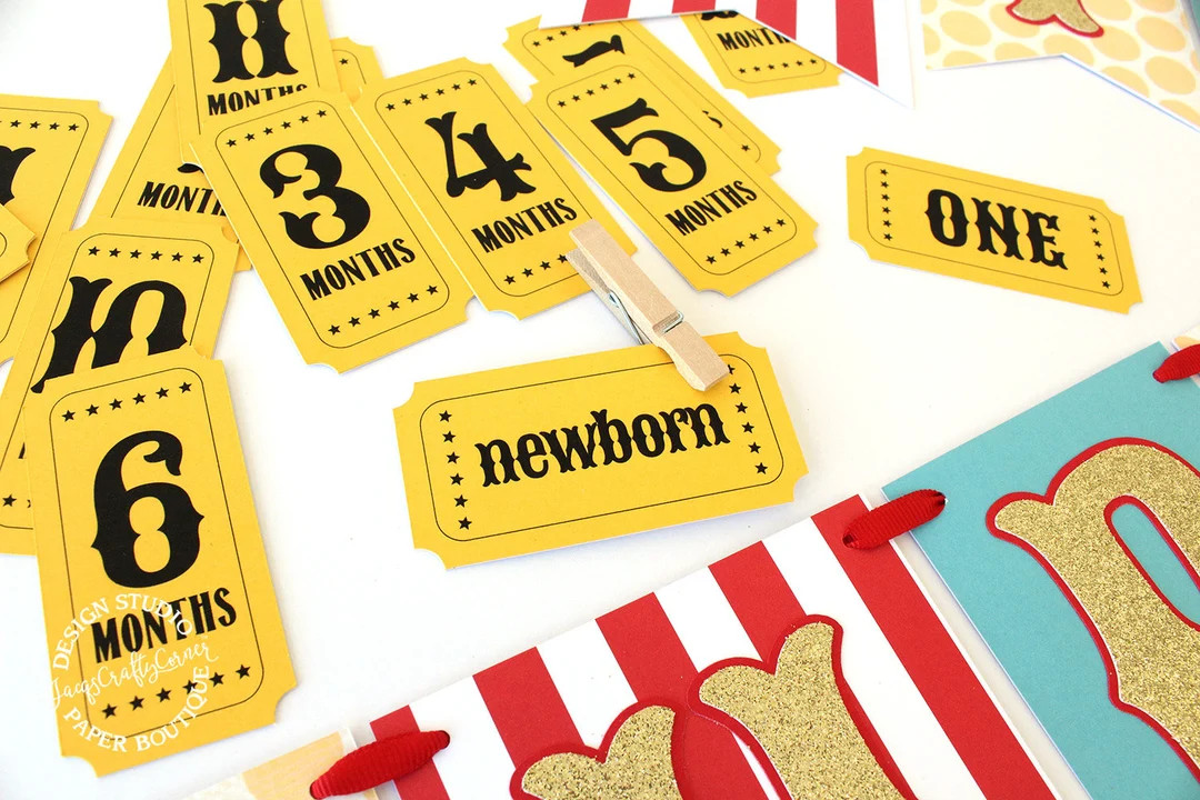 Carnival Circus Monthly Photo Banner Baby's First Year Milestone - Etsy | Etsy (US)