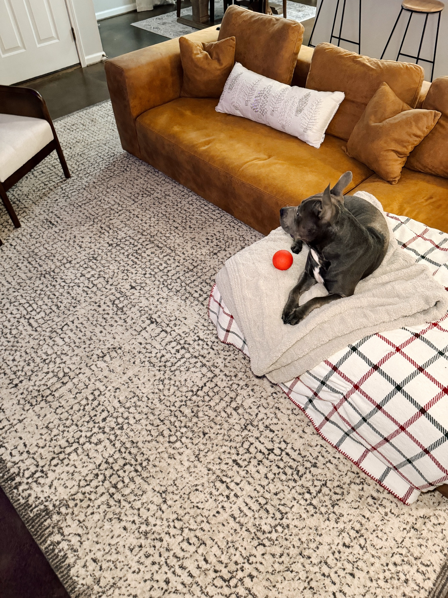 my living room rug!!! 

#LTKHome #LTKHoliday #LTKGiftGuide