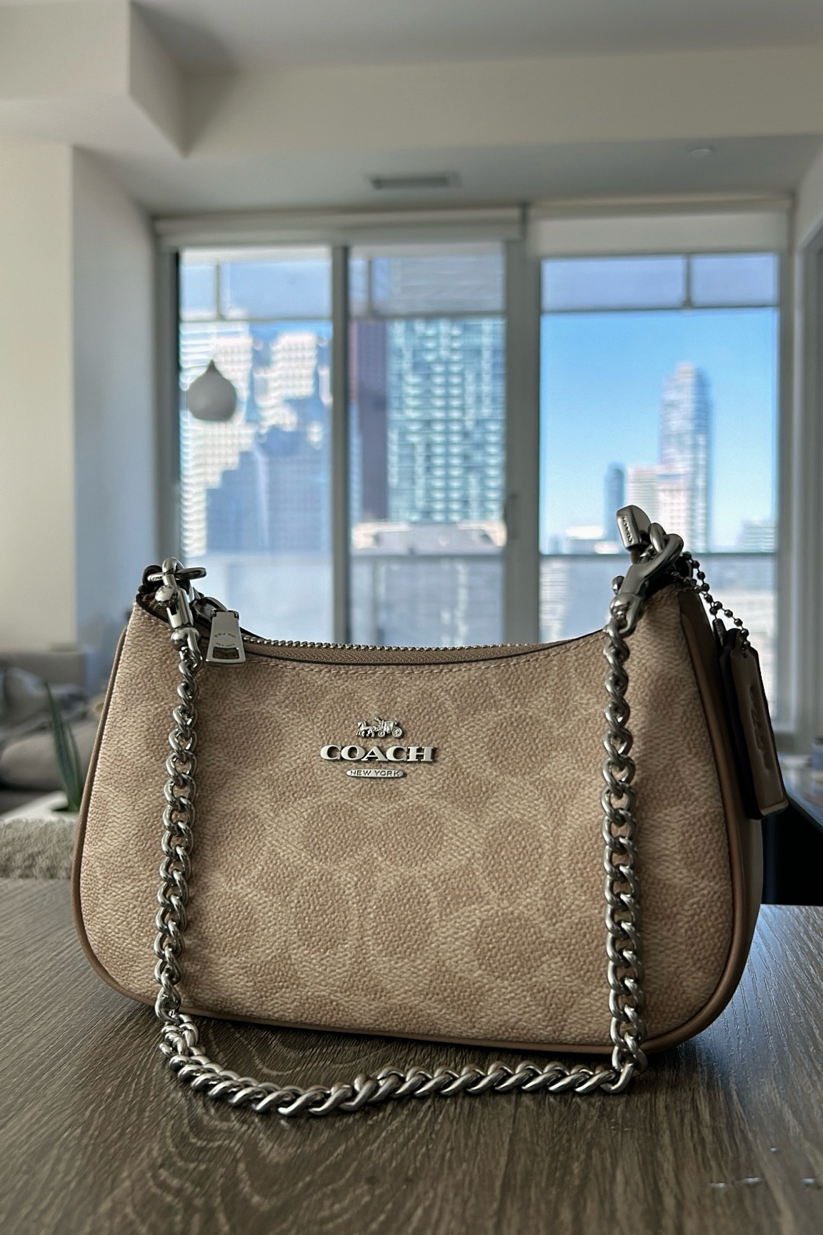 Terri mini 😍

#terribag #coachbag

#LTKSaleAlert #LTKItBag #LTKSeasonal