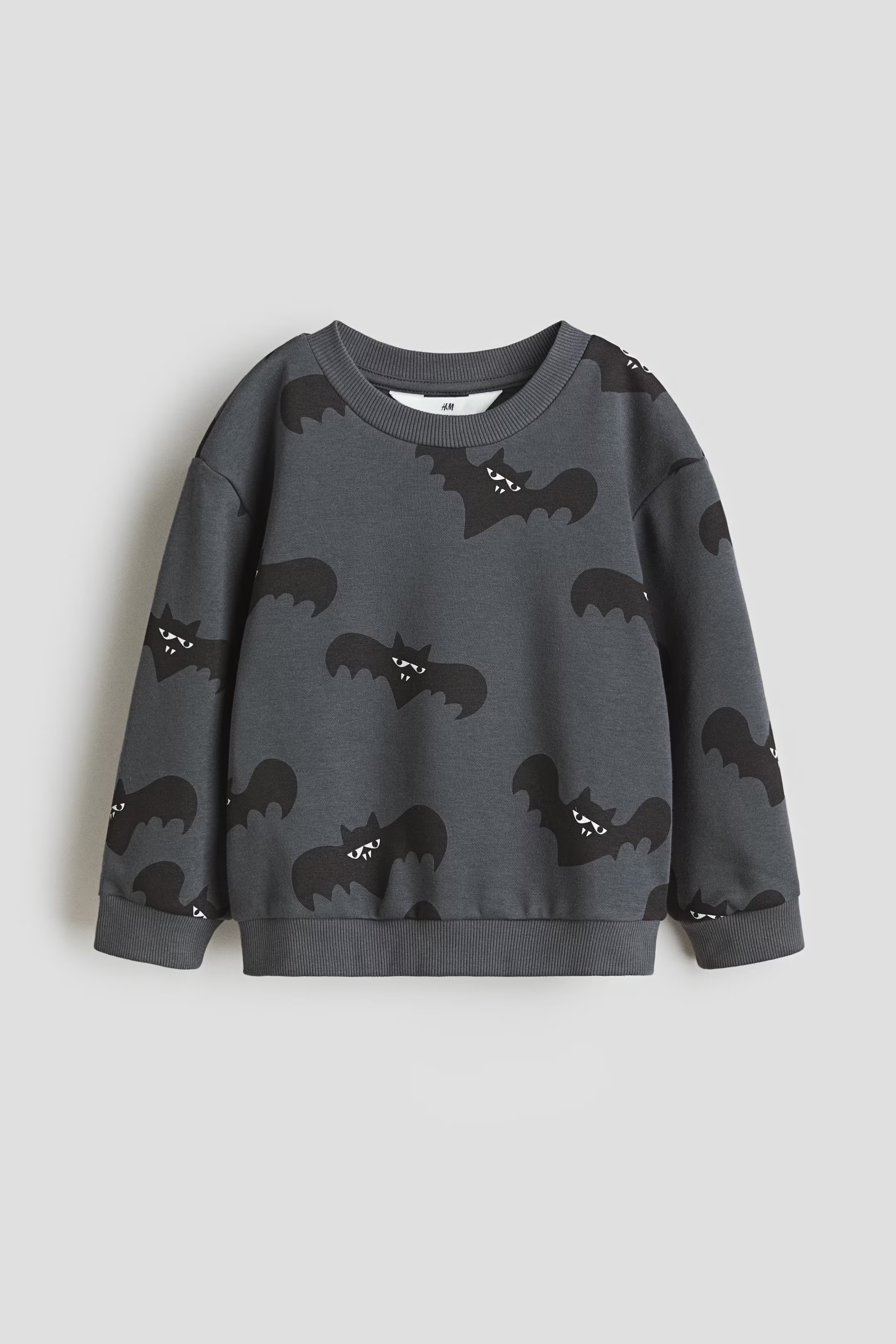 Sweatshirt | H&M (US + CA)