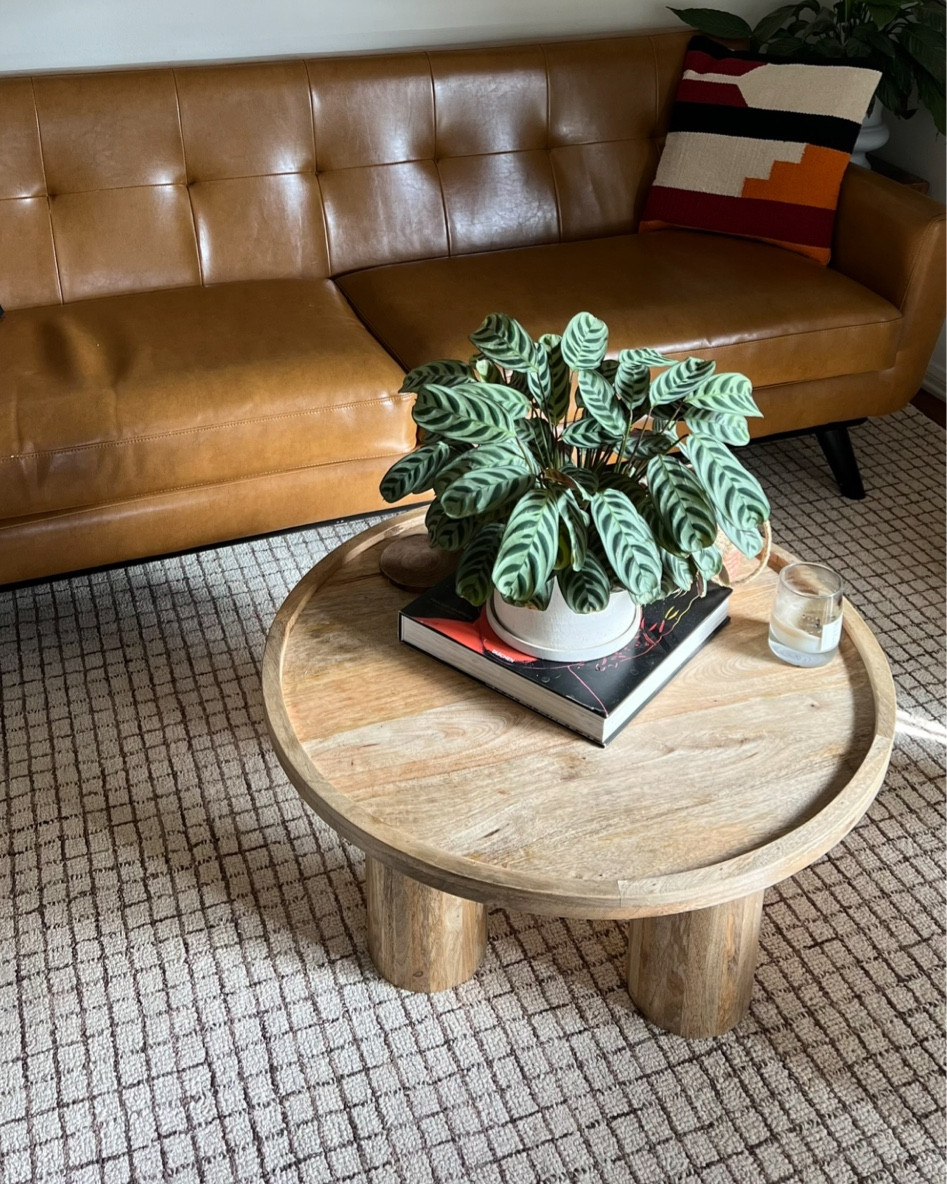 our living room set up! checkered wool rug with a round coffee table — love neutrals with a pop of color from the plant. and so affordable! 

#LTKHome