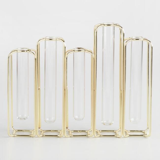 Brass and Clear Glass Test Tube Vases | World Market