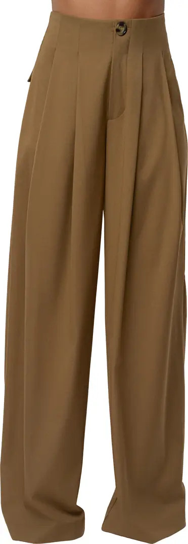 Pleated Wide Leg Pants | Nordstrom