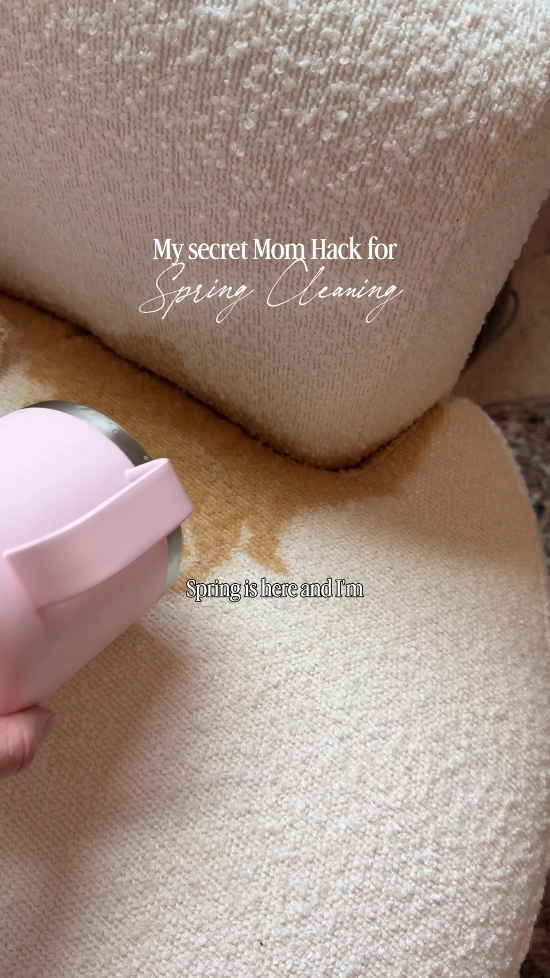 Spring cleaning, BISSELL, little green mini, upholstery cleaner, carpet cleaner, spring organizing 


#LTKmomlife #LTKHome