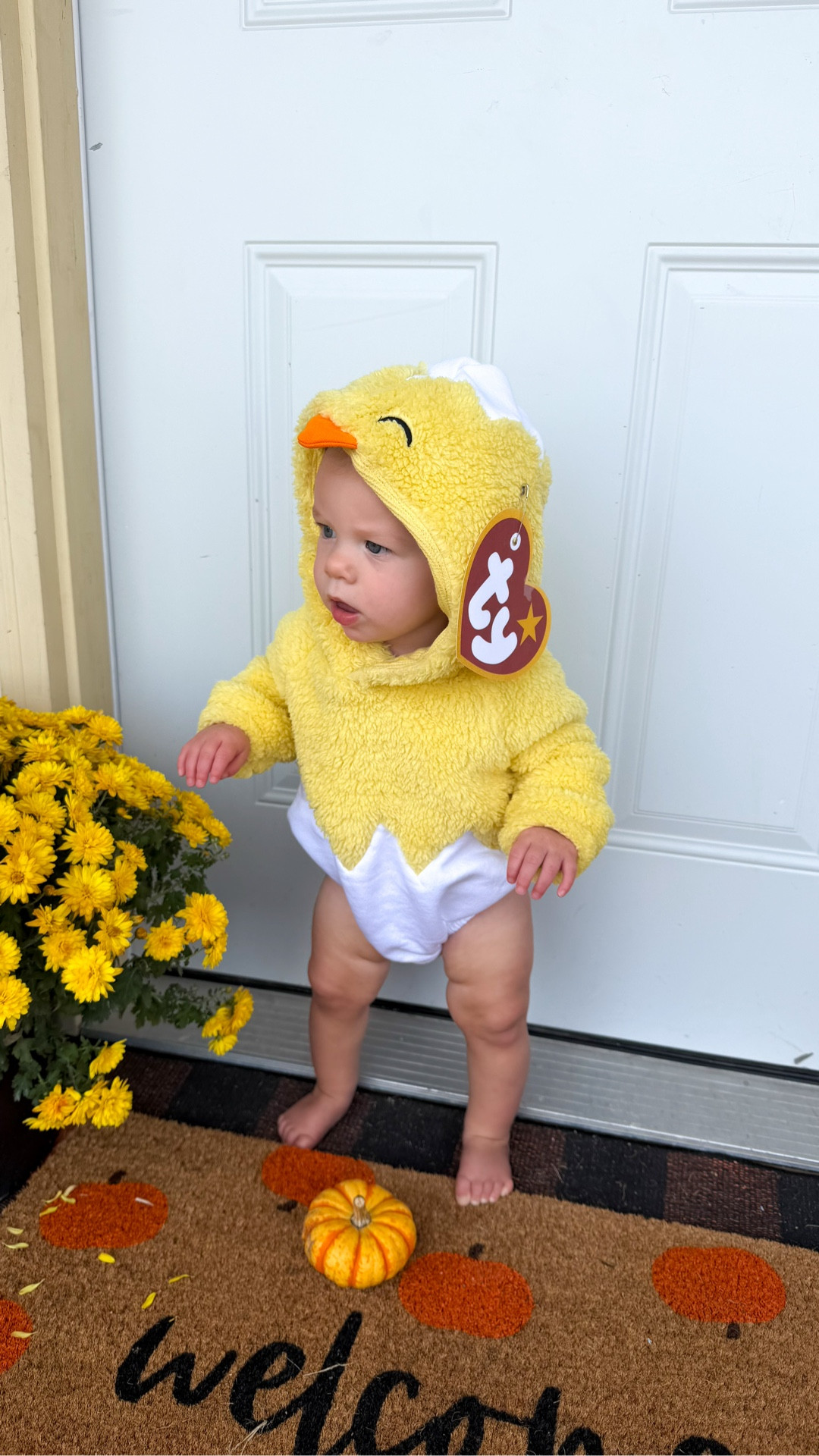 DIY Beanie Baby Chick Halloween costume for a baby. 

#LTKBaby #LTKFindsUnder50 #LTKHalloween
