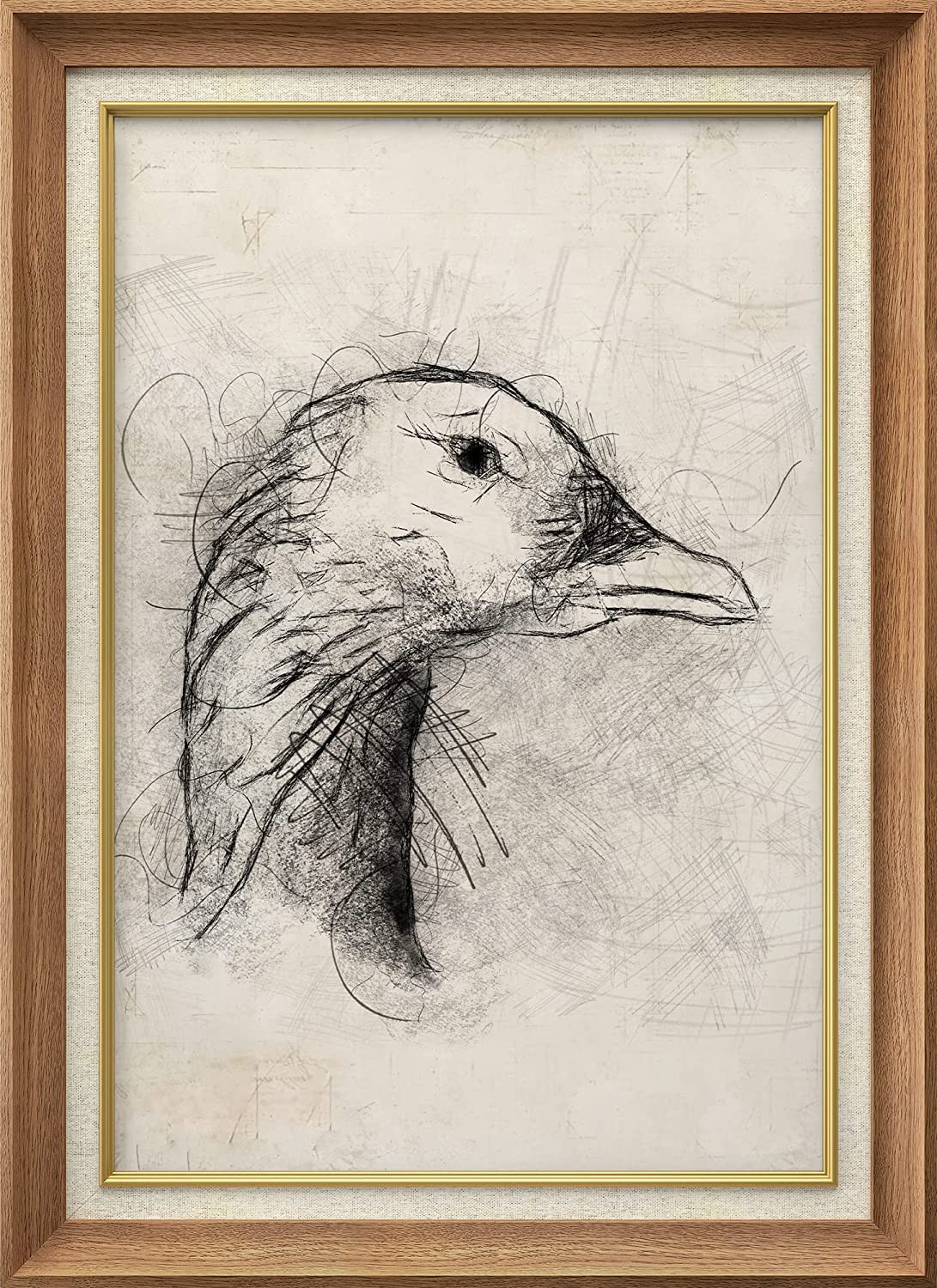 SIGNWIN Premium Frame Art Vintage Retro Close Up Goose Bird Portrait Animals Wilderness Illustrat... | Amazon (US)
