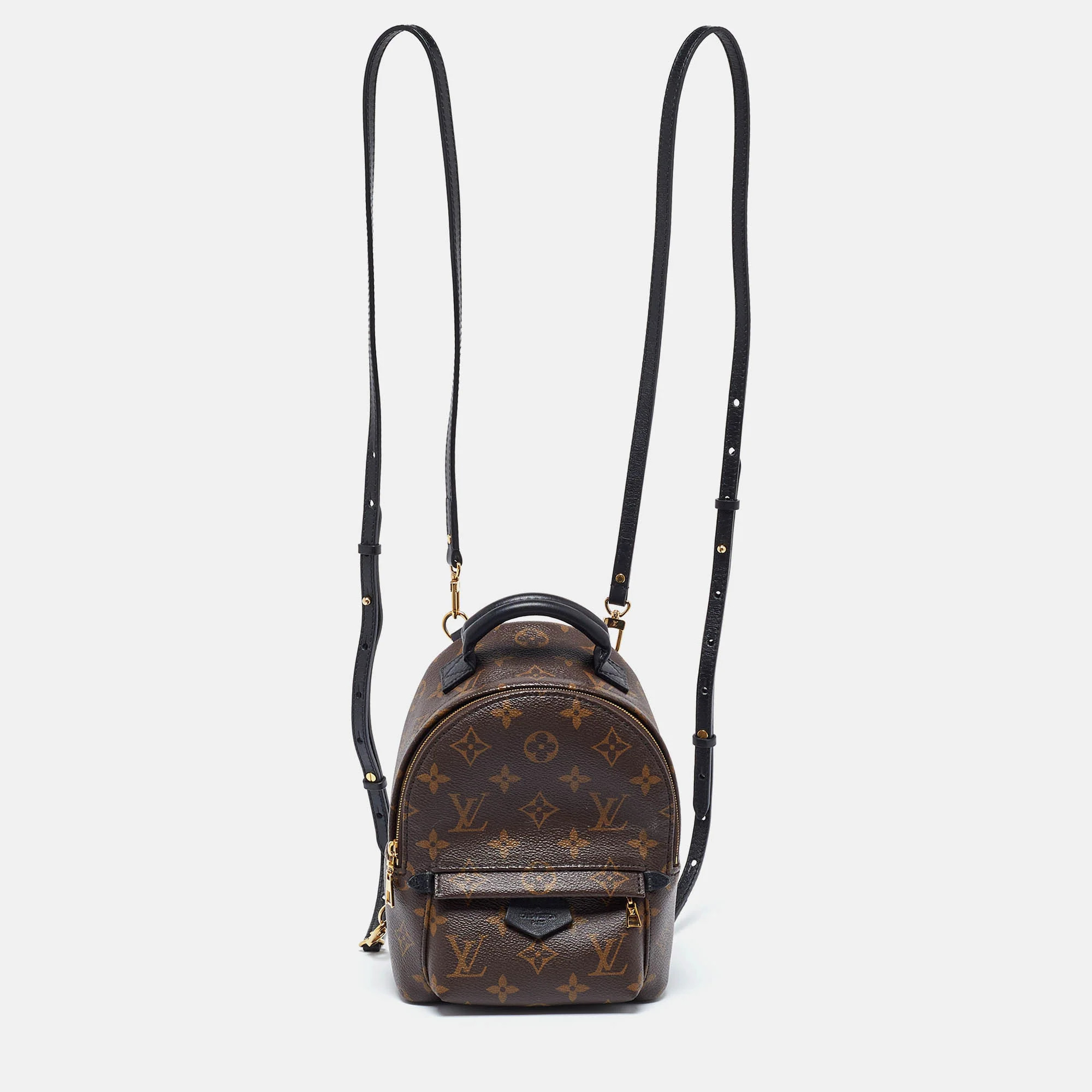 Louis Vuitton Monogram Canvas Palm Springs Mini Backpack | Shop Simon