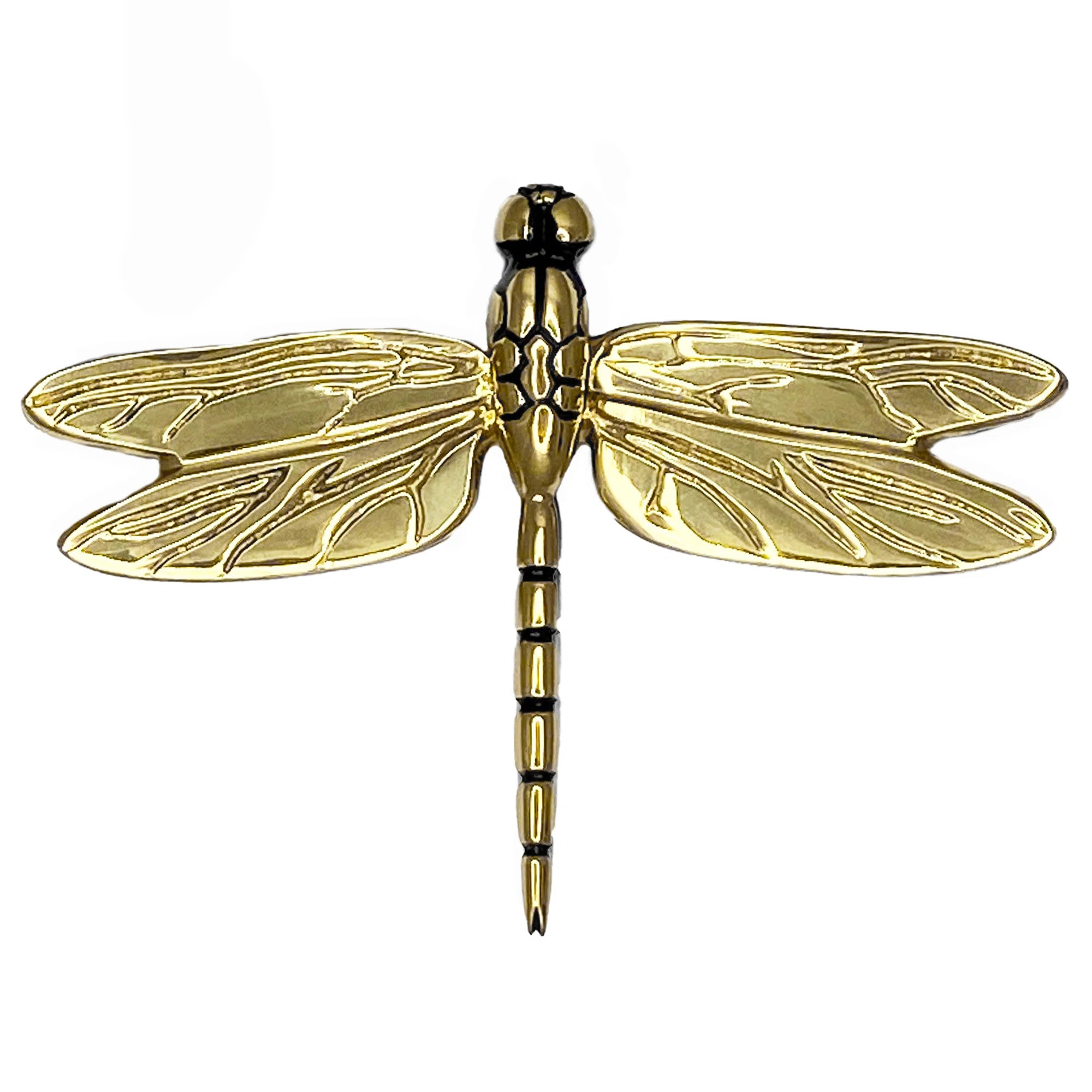 Michael Healy Dragonfly in Flight Door Knocker & Reviews | Wayfair | Wayfair North America