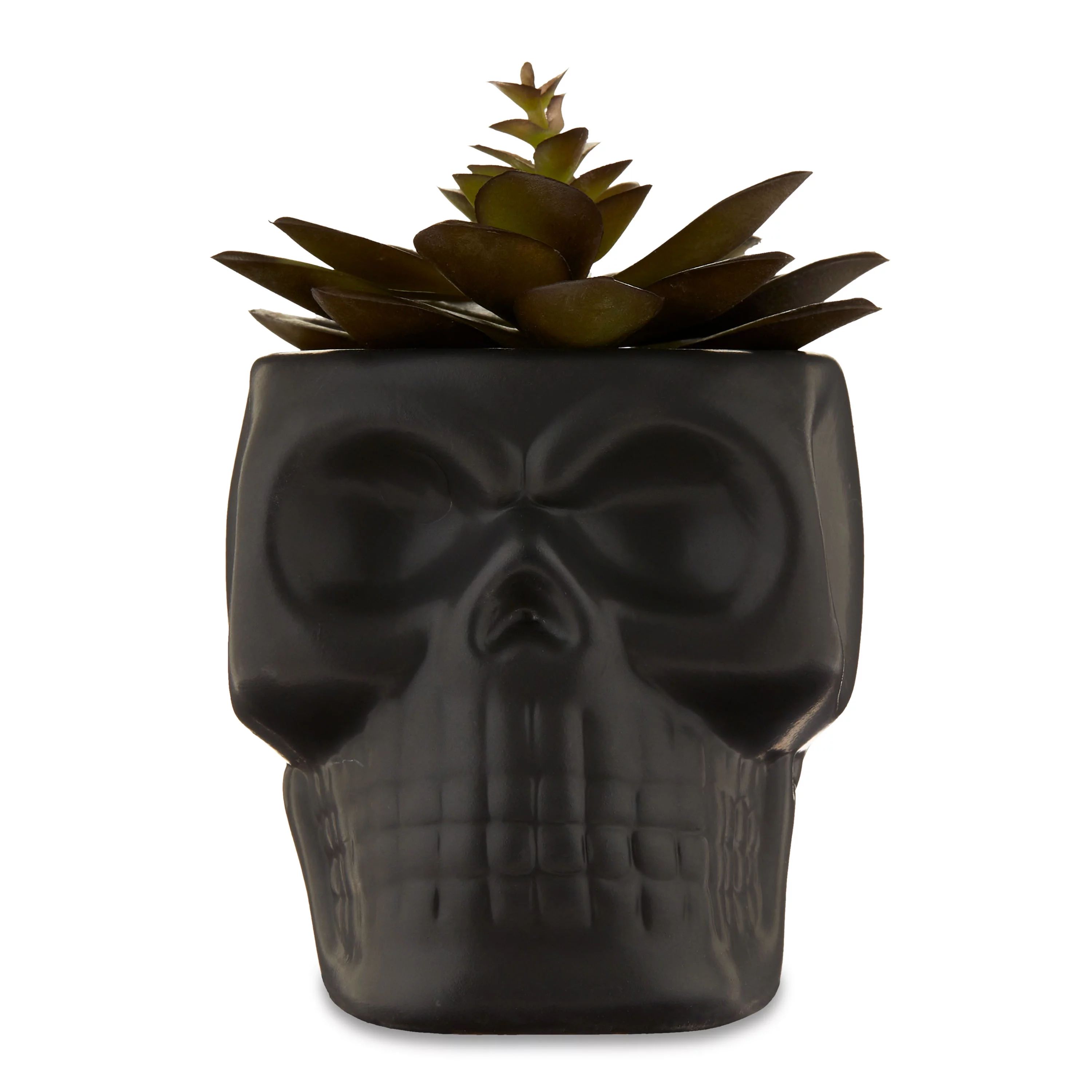 Halloween Black Ceramic Skull with Faux Succulent, 4"L x 5"W x 5.75"H, Way To Celebrate | Walmart (US)