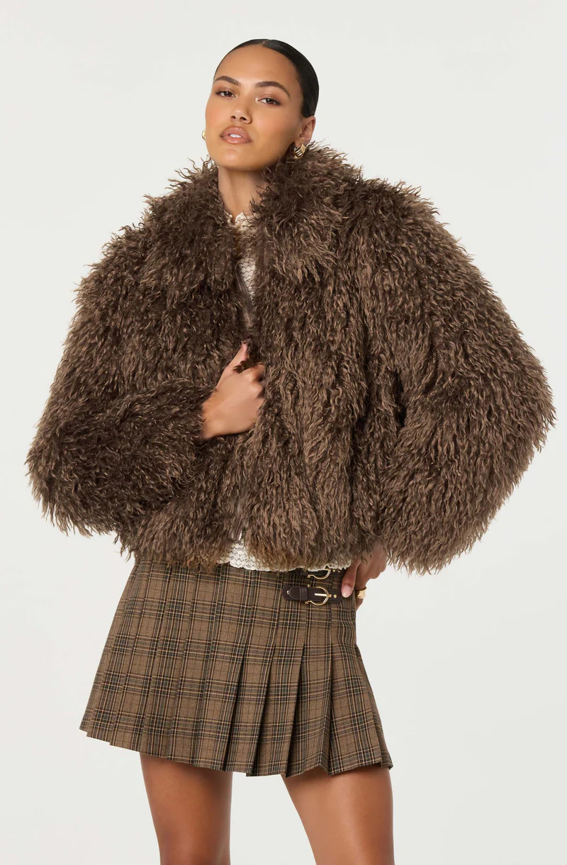 Kamrath Faux Fur Jacket - Brown / XS | ASTR The Label (US)