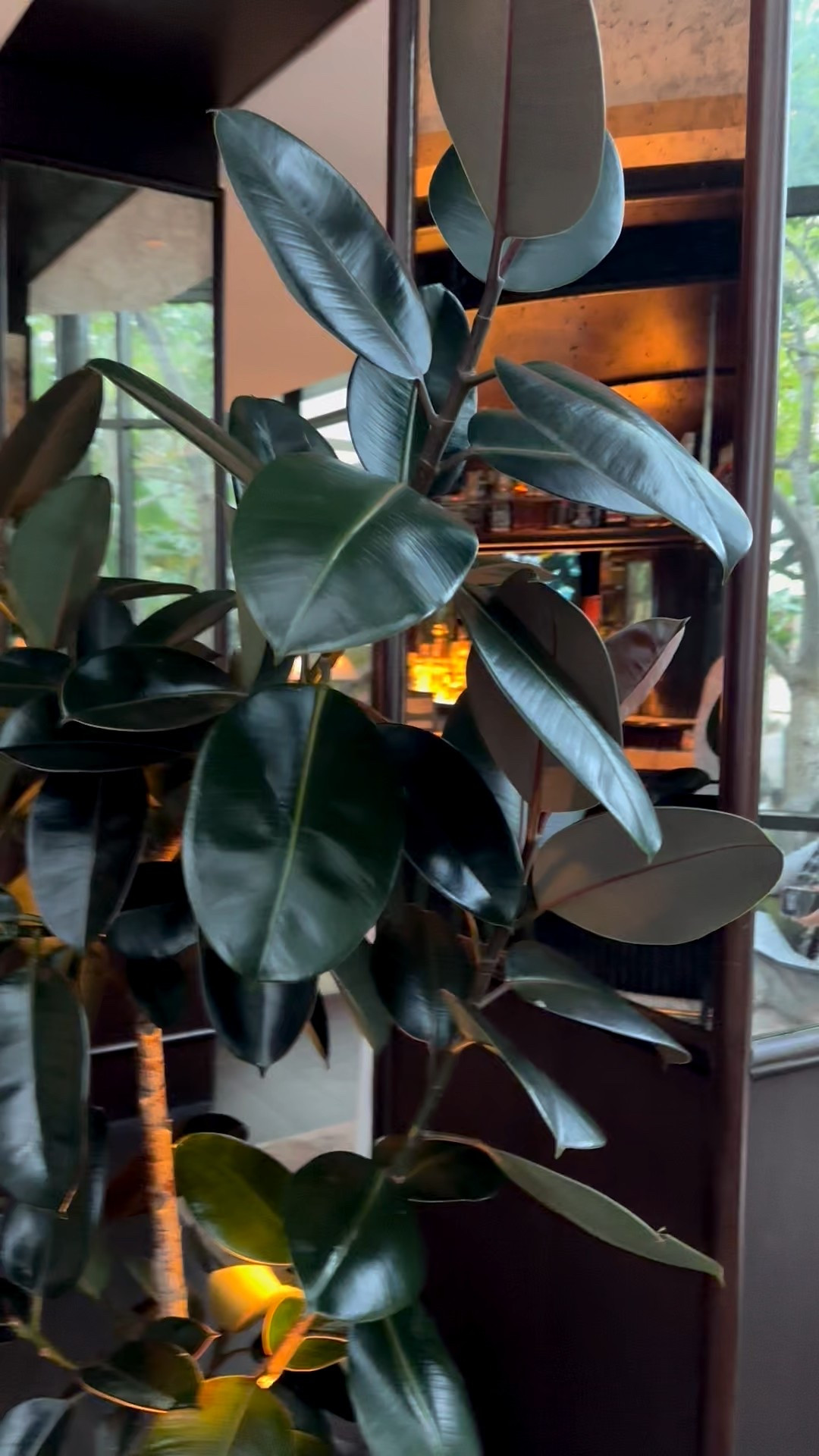 There’s an effortless elegance in a touch of indoor greenery — a beautiful planter can enliven the room with serenity and grace. 🌿✨


#IndoorGreenery #ElegantInteriors #Planter #HomeStyling #TimelessDesign #InteriorInspiration #NaturalElegance

#LTKHoliday #LTKGiftGuide #LTKHome