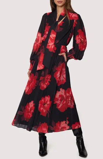 Scarlet Melody Floral Long Sleeve Maxi Dress | Nordstrom