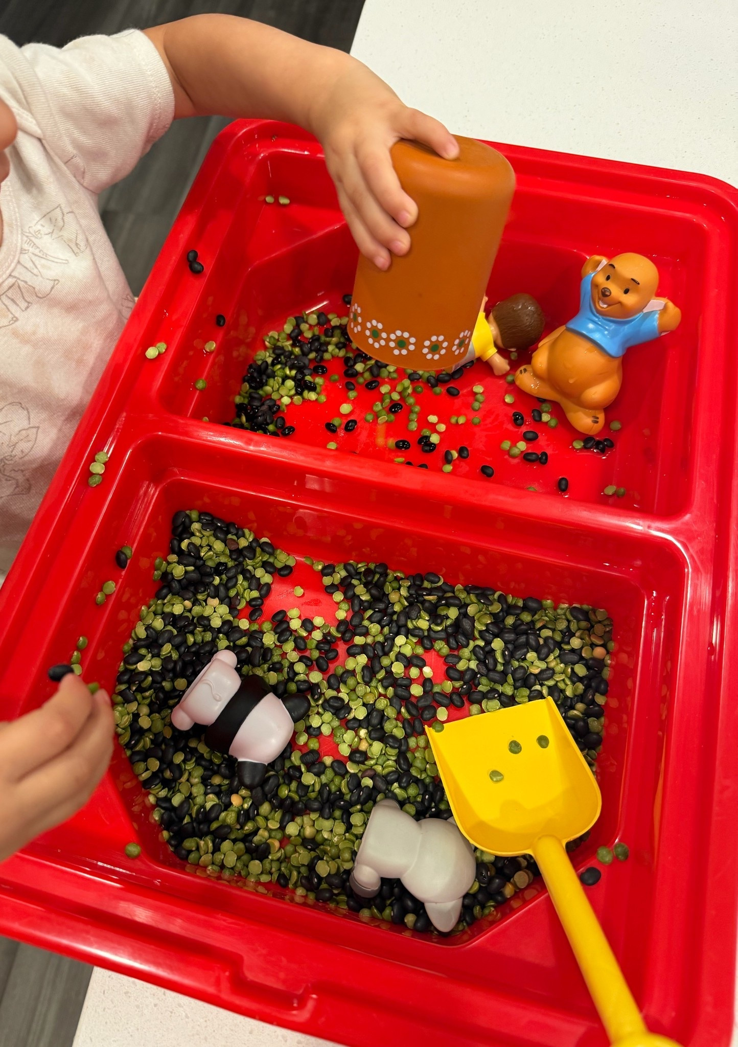 Sensorial activities for toddlers

#LTKmomlife #LTKdayinmylife #LTKKids