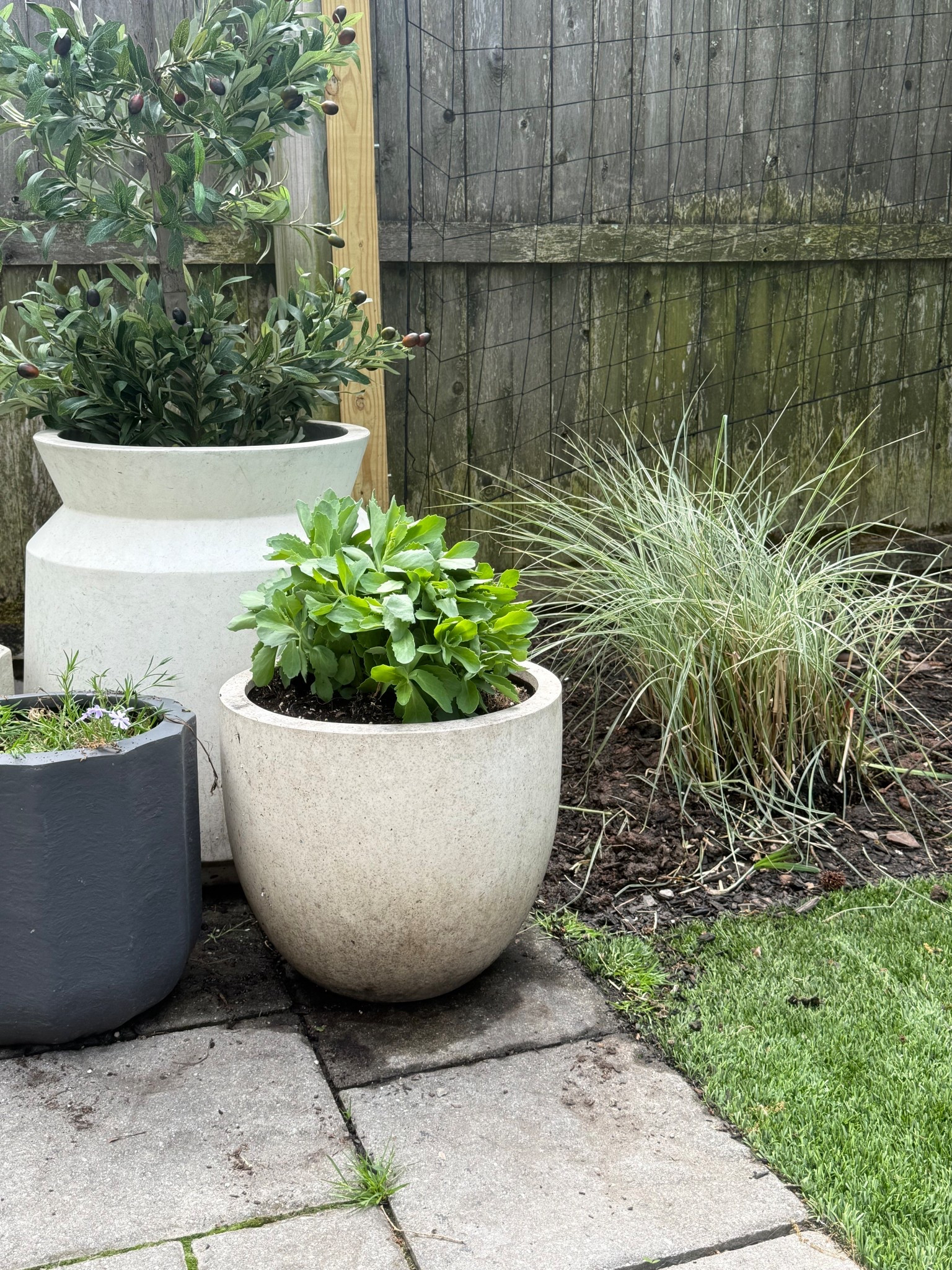 Some of my favorite outdoor planters! I love to collect a bunch in different sizes and shapes and group them together to give a bit of a French garden bistro feel. A few on sale at the moment! 


Backyard, spring, outdoor decor, backyard inspo, GIRLONTHEHUDSON, outdoor decor, backyard inspo, potter barn, west elm  


#LTKSeasonal #LTKHome #LTKSaleAlert