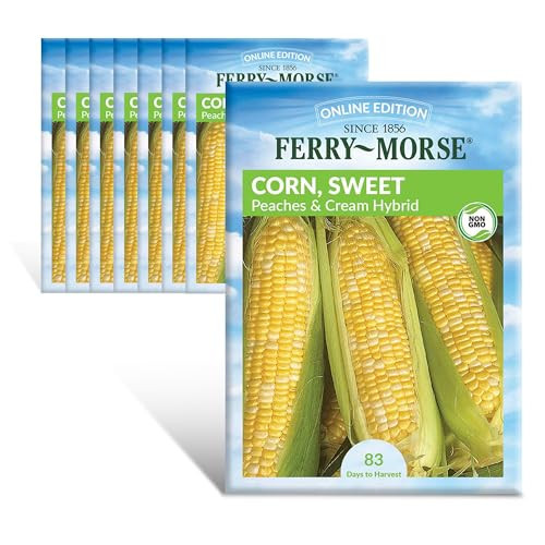 Ferry-Morse Online Edition Sweet Corn Seeds - Peaches & Cream Hybrid, High Germination, GMO Free - 8 Pack | Amazon (US)