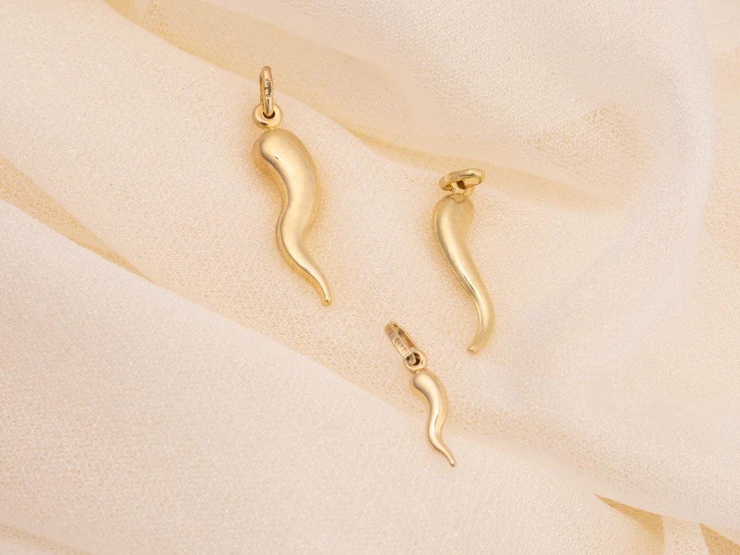 Italian Horn, Cornicello Charm, Italian Gold Horn, Protection Amulet - Etsy | Etsy (US)