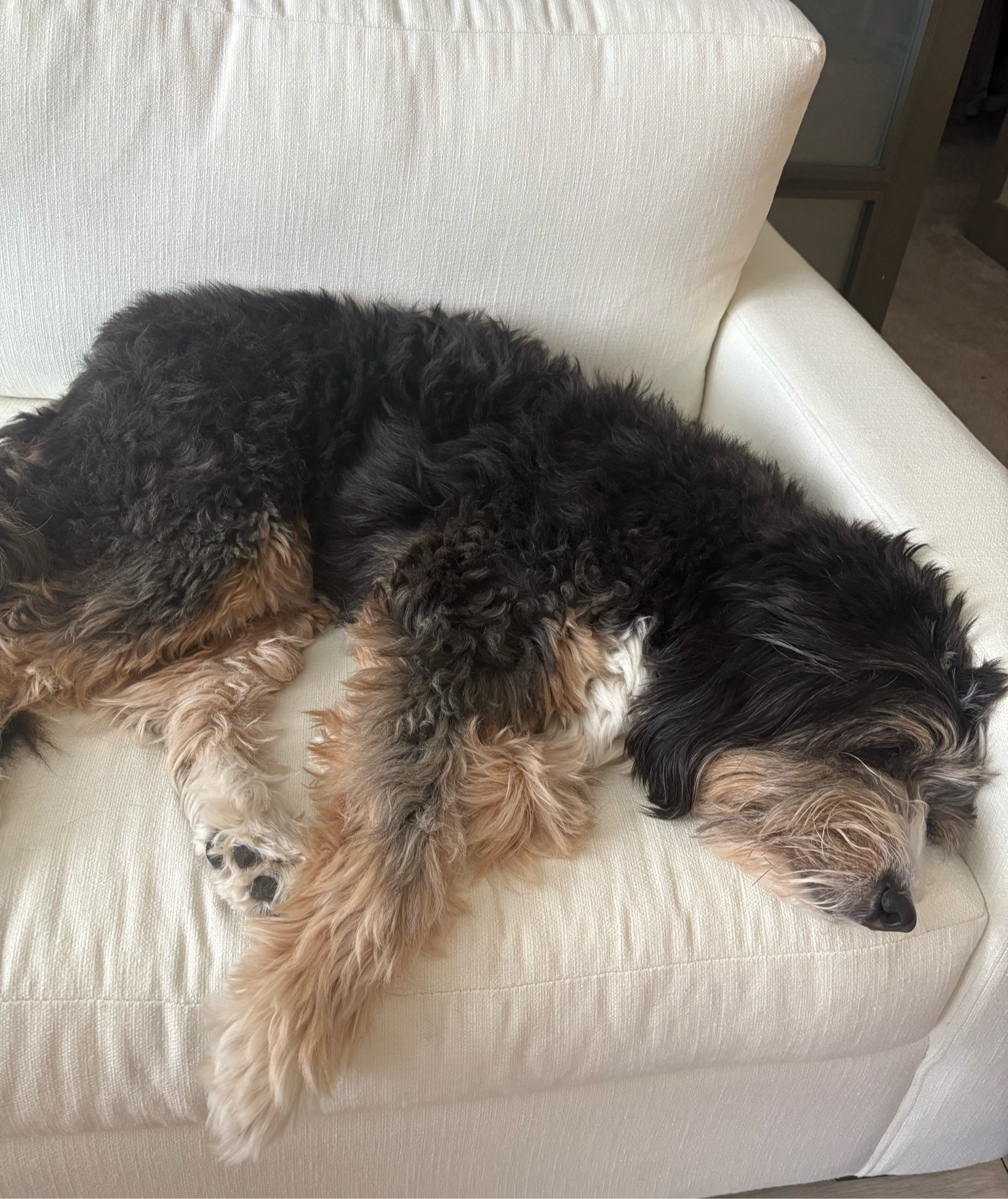 Lazy Sunday



#LTKdayinmylife #LTKCyberWeek #LTKHome