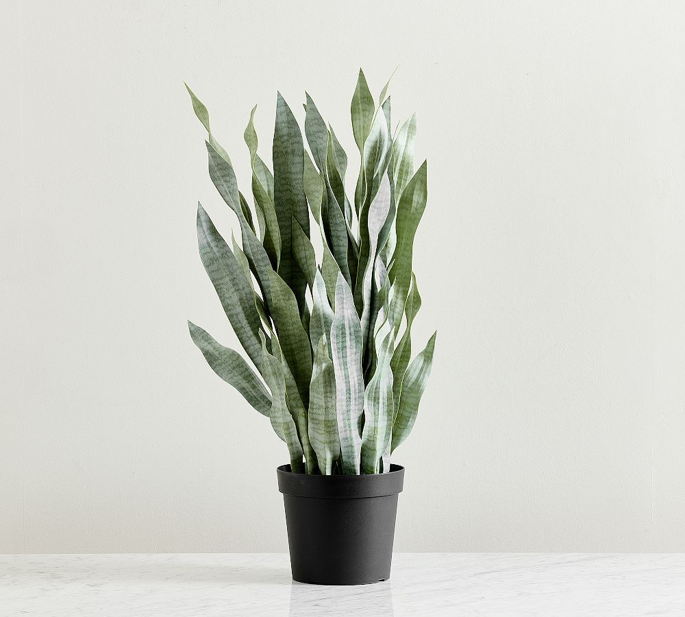 Faux Potted Faded Whale Fin | Pottery Barn (US)