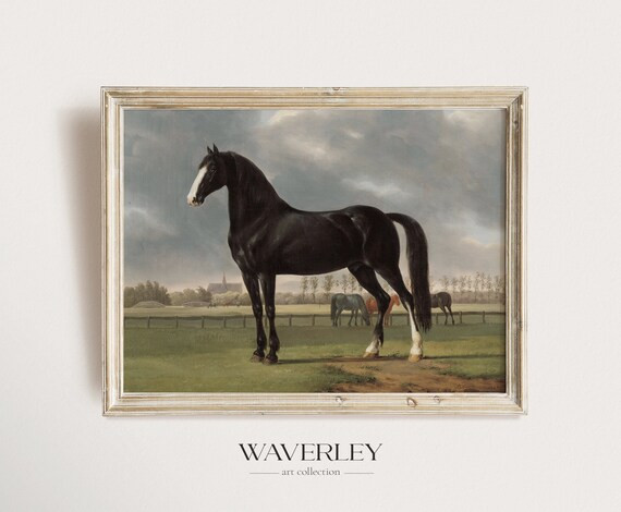 Vintage Equestrian Wall Art, Traditional Painting, English Antique Decor, Elegant Animal Print, B... | Etsy (US)