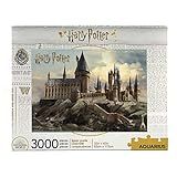 AQUARIUS Harry Potter Puzzle Hogwarts Castle (3000 Piece Jigsaw Puzzle) - Officially Licensed Harry  | Amazon (US)