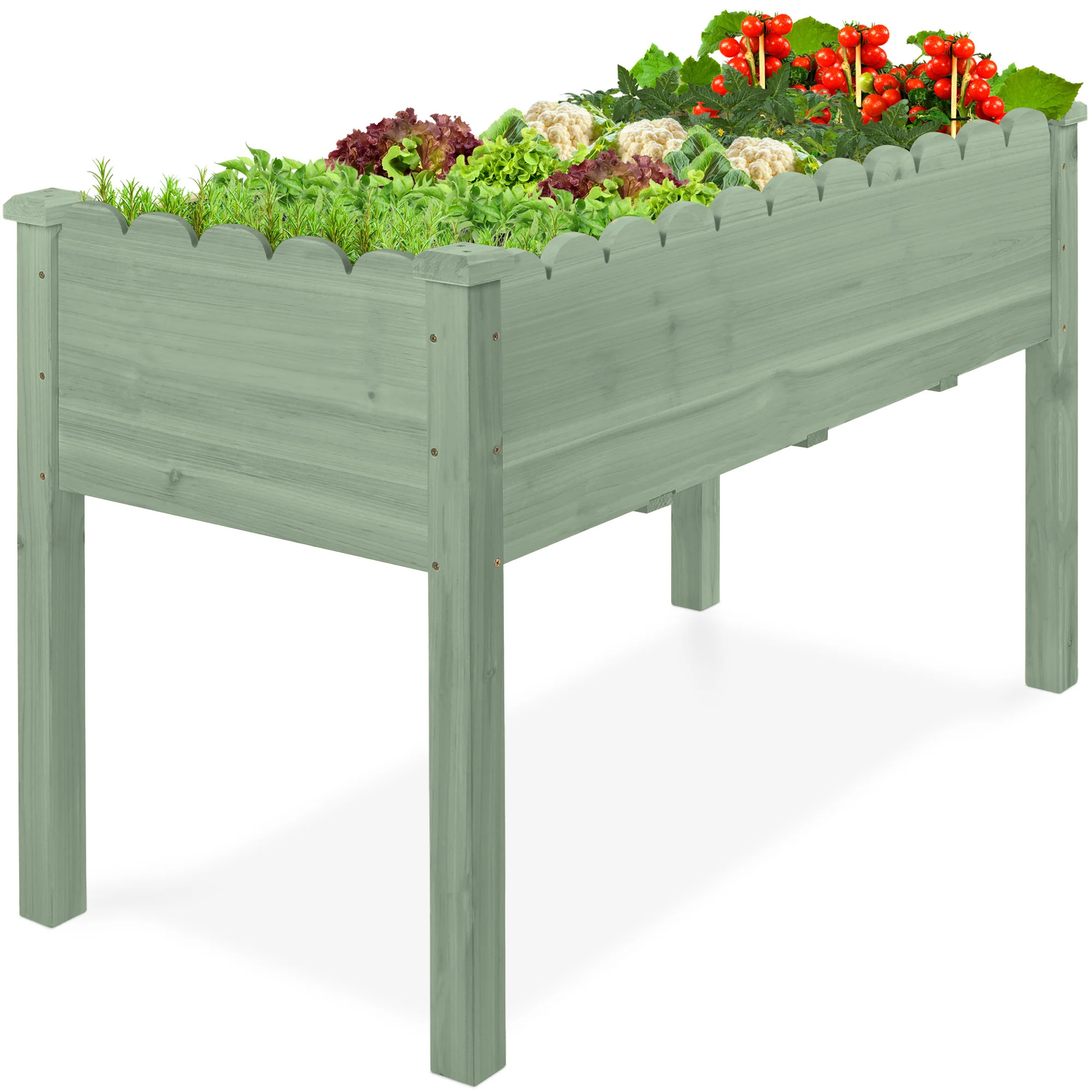 Raised Garden Bed, Scalloped Elevated Wooden Planter Box - 48x24x30in | Best Choice Products 