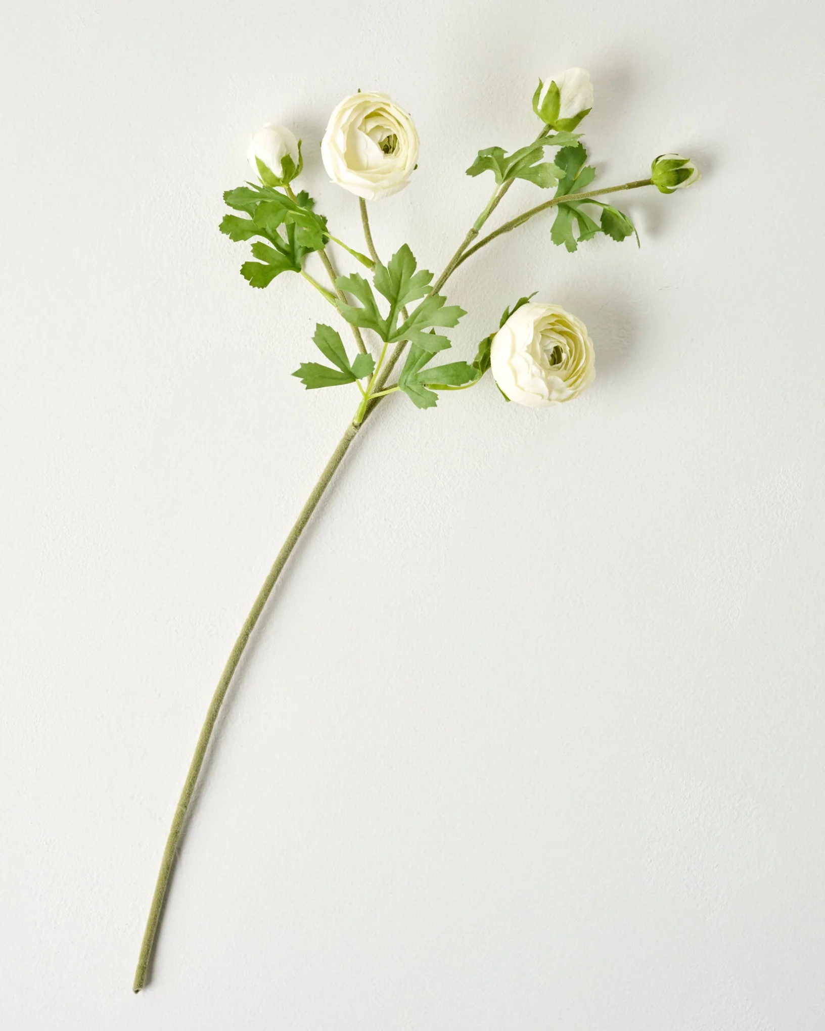 Real Touch Ranunculus Stem | Magnolia