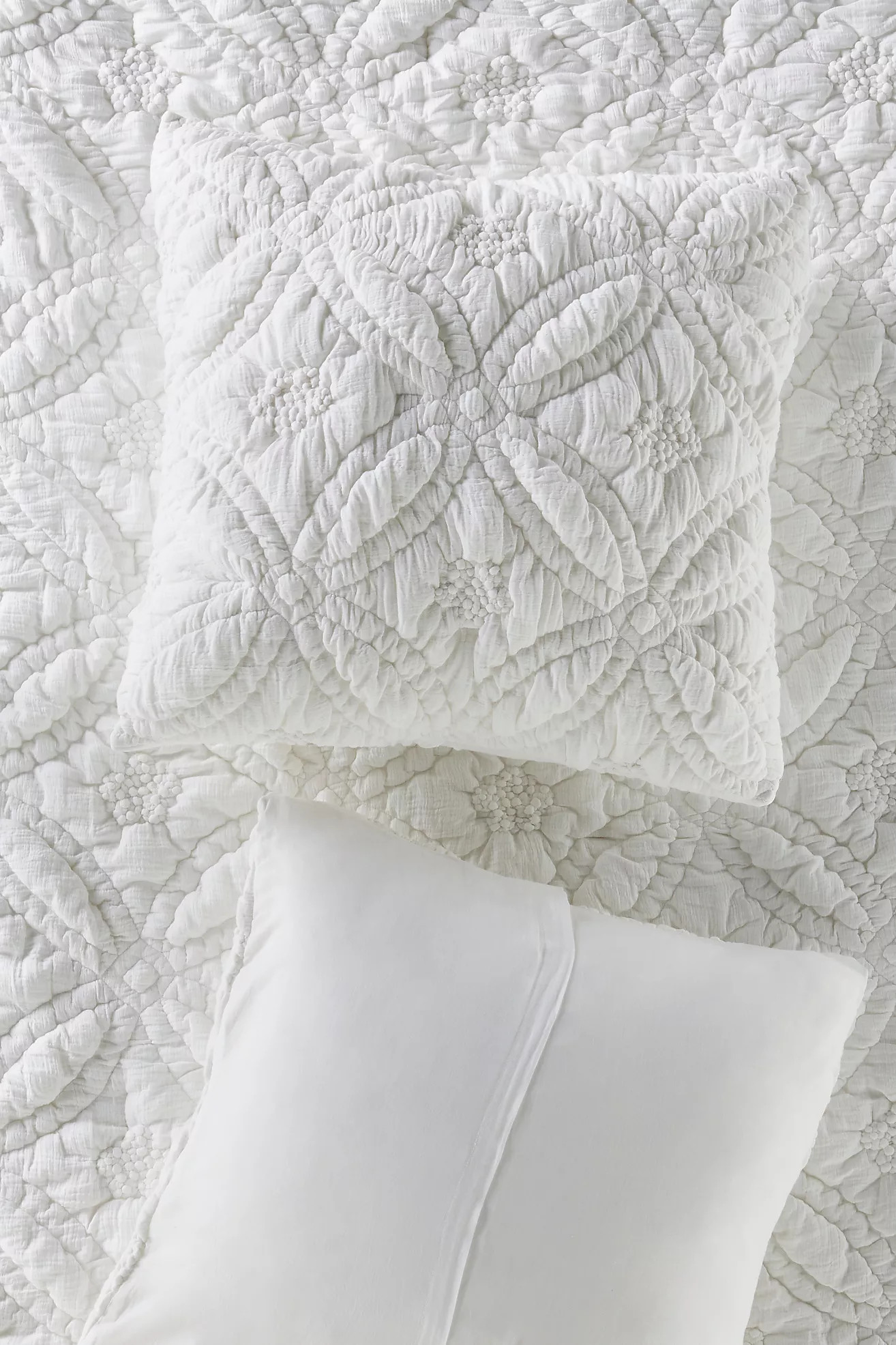 Everly Cotton Floral Euro Sham | Anthropologie (US)