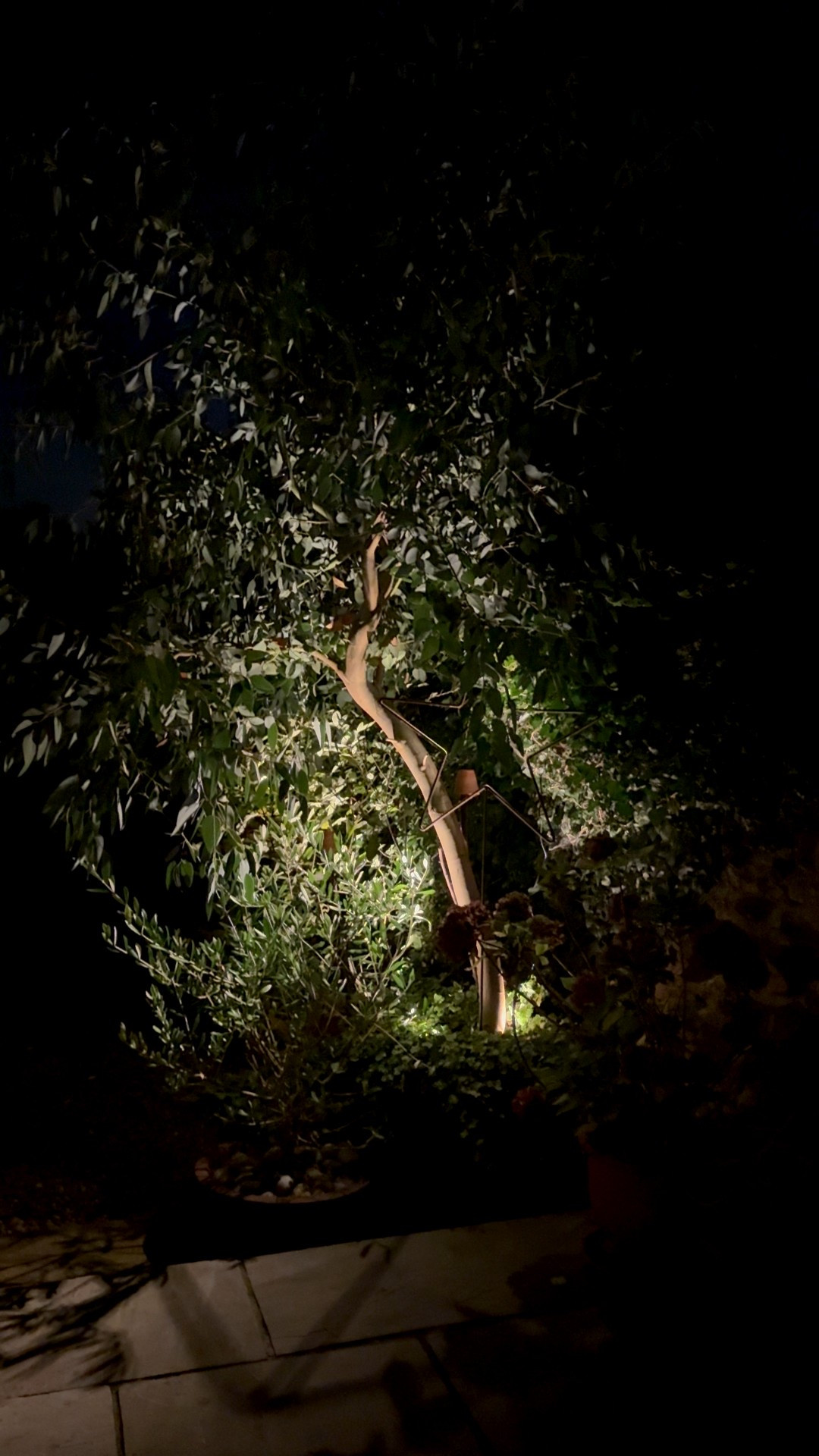 Fabulous garden up lights, solar powered, easy to fit

Giving the garden the perfect glow as the nights draw in

#LTKhome #LTKautumn