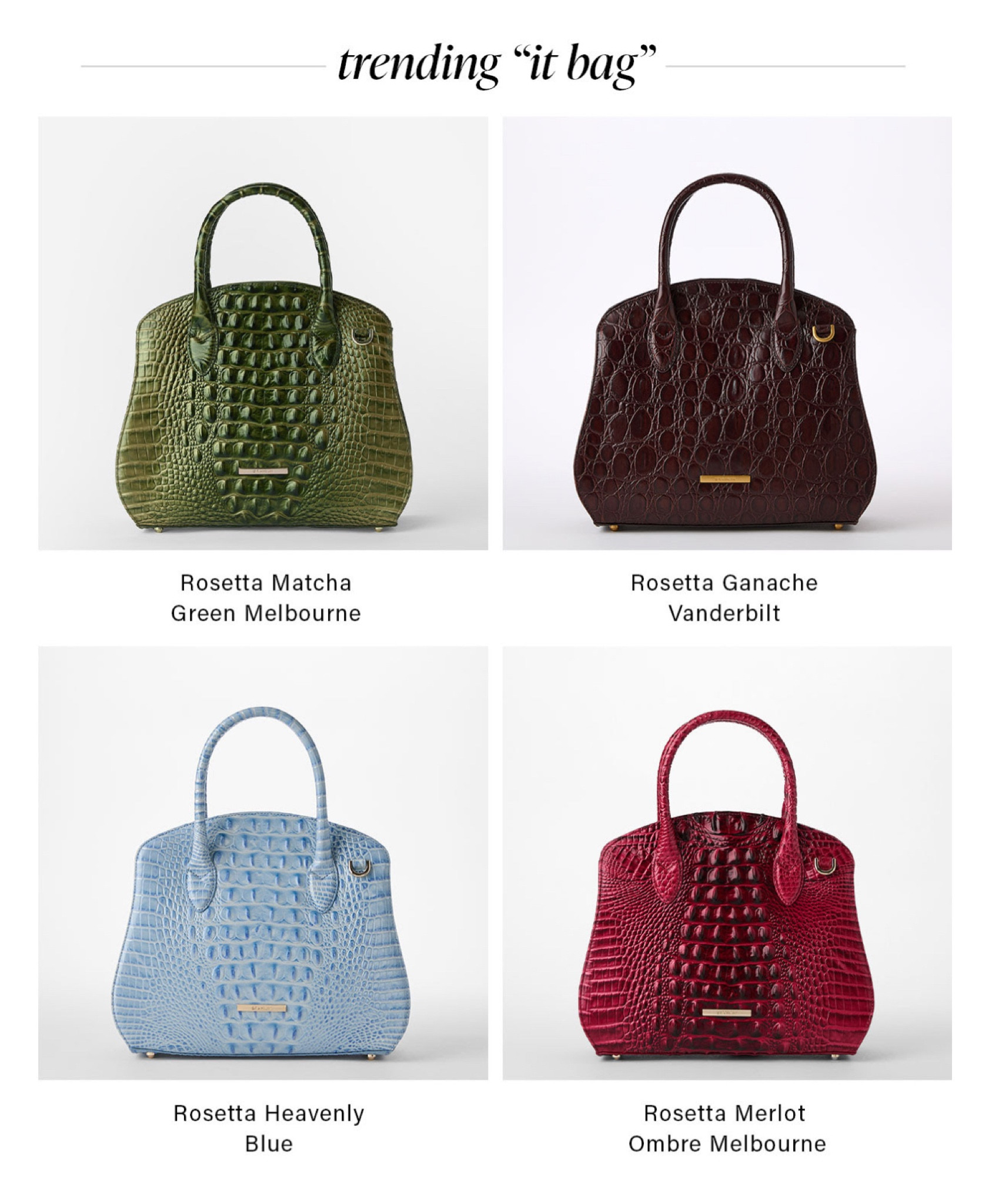 The quality of these handbags and purses are so luxury, they would make a perfect gift or a great new addition to your wardrobe for the season! Mine from this brand have lasted years and years! Shop their new trending it bag style or any of the classics

#LTKGiftGuide #LTKItBag